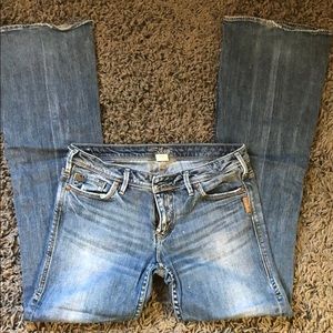 Silver Isabel 29 x 33